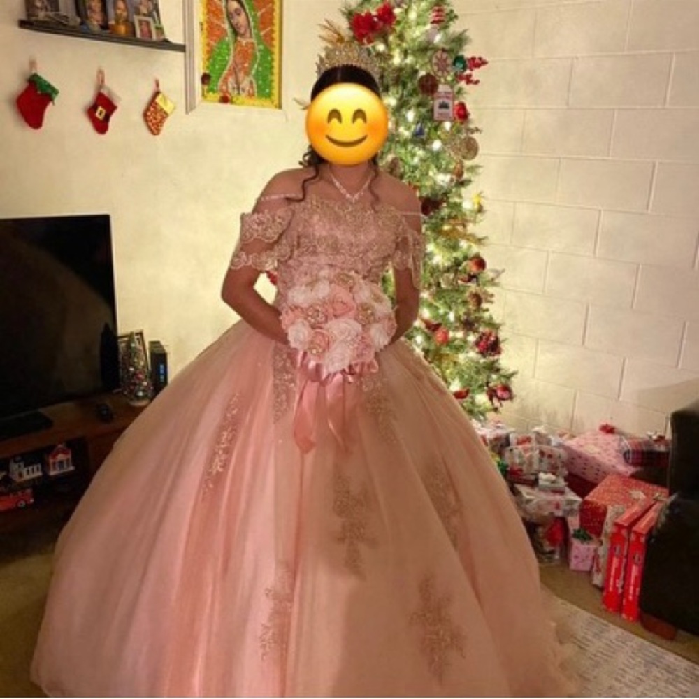Elegant Pink Quince/Prom Dress